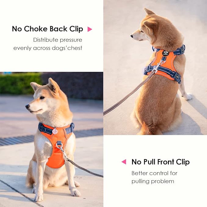 No Pull Dog Harness, Unique Colors Reflective Adjustable Dog Vest | with Soft Training Handle Metal Clips for Small Medium Large Dogs (Orange Base & Blue Straps,L)