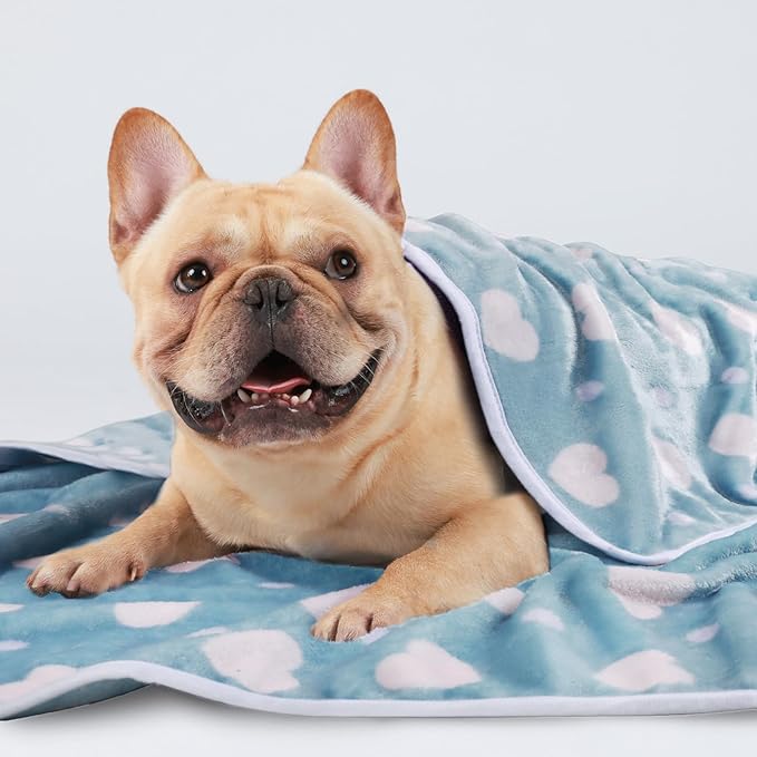 1 Pack 3 Blankets Super Soft Cute Dot Pattern Pet Blanket Flannel Throw for Dog Puppy Cat Purple/Pink/Cyan Medium