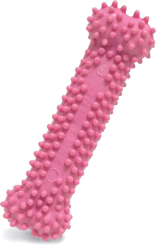Nylabone Textured Teething Bone Puppy Chew Toy, Chicken Flavor, Pink, X-Small - Up to 15 lbs (1 Count)