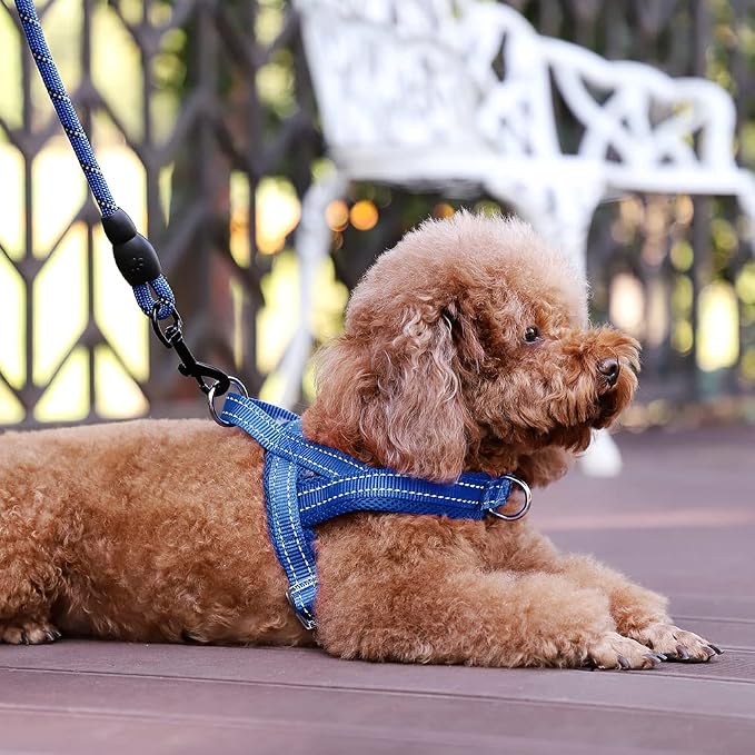 Plutus Pet No Pull Dog Harness for Small Dogs, Breathable Mesh Padded | Adjustable Reflective with Handle, Escape Proof, Quick Fit Pet Vest, Front Clip, for Training and Walking, Royal Blue, S