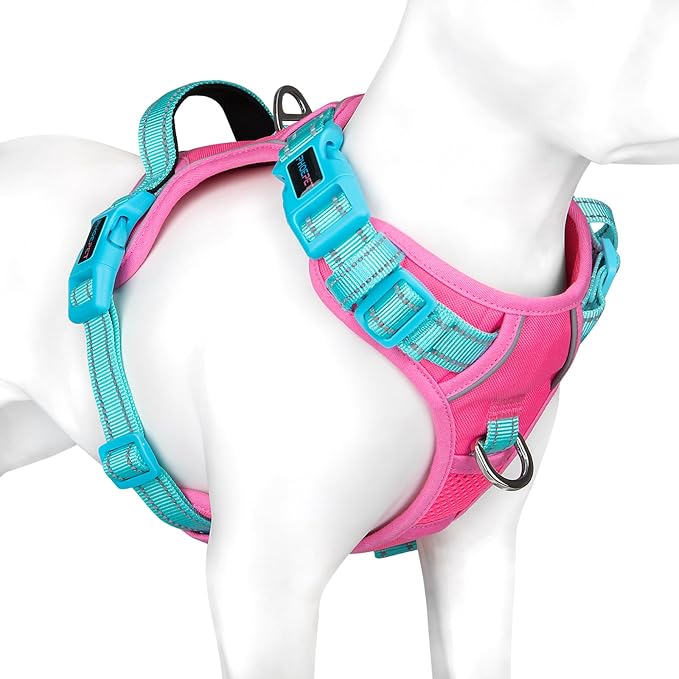 No Pull Dog Harness, Unique Colors Reflective Adjustable Dog Vest, with Soft Training Handle Metal Clips for Small Medium Large Dogs (Pink Base & Green Straps,S)