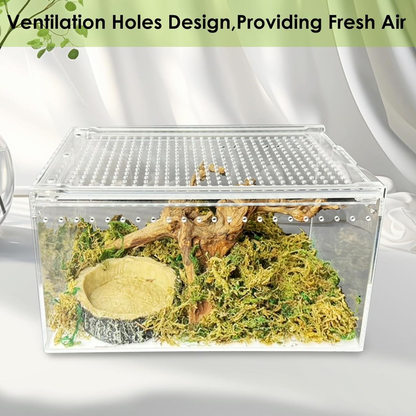 Acrylic Reptile Terrarium Enclosure 9.8" x 5.9" x 5.9" Magnetic Tarantula Breeding Box Transparent Insect Habitat for Jumping Spider Hermit Crab Lizard Sling Isopods Horned Frog Snake Gecko