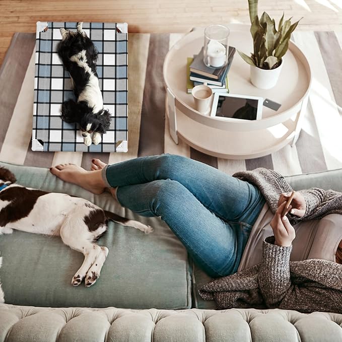 Caghash Elevated Outdoor Raised Dog Bed, Lifted Dog Cot for Small Pet | Breathable Fabric Dog bed for Indoor & Outdoor, Stainless Steel, Anti-Slip Pet Bed