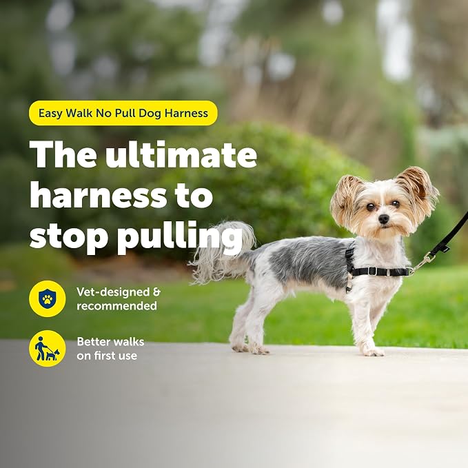 PetSafe Easy Walk Harness, No Pull Dog Harness, Black, Petite/Small | Patented Martingale Loop Gives Gradual Shoulder Pressure to Stop Pulling, Front-Chest Leash Clip Prevents Gagging
