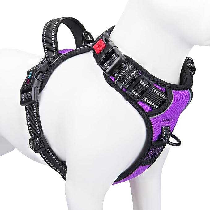 Reflective Dog Harness Large Breed Adjustable No Pull Vest | with Handle 2 Metal Rings 3 Buckles [Easy to Put on & Take off](L, Purple)