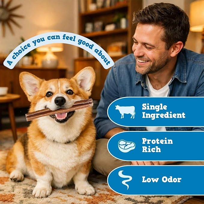 Jack&Pup 6 Inch Bully Sticks for Dogs (20 Pack) Extra Thick Dog Chews Long Lasting, Single Ingredient, 100% Beef Bully Sticks for Large Dogs and Medium Dogs