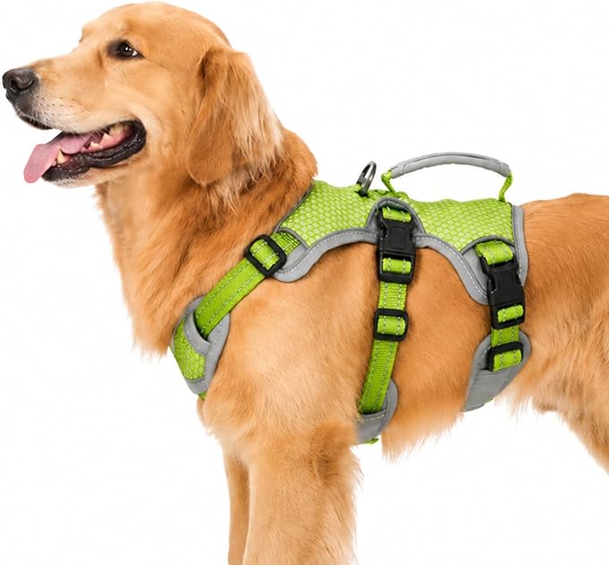 Escape Proof Dog Harness, Dachshund Harness, Reflective Dog Harness with Handle, Durable,Adjustable Vest for Small Medium Large Dogs Walking, Training, and Running Gear (Green,L)