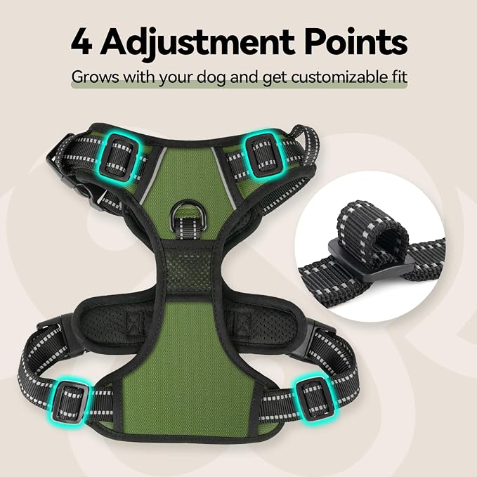 No Pull Dog Harness with Handle Front & Back Clip, Easy on | Lockable Snap Buckle at Neck, Adjustable Reflective Vest with Handle for Small Medium Large Dogs (XL, Misty Green)