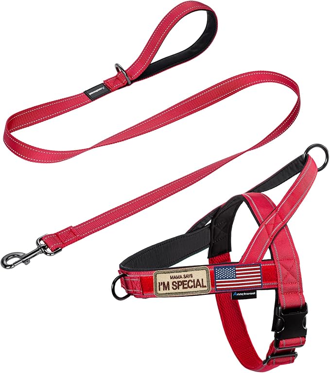 Annchwool No Pull Dog Harness with Padded Handle+5 Ft Leash,Reflective Strip Escape Proof and Quick Fit to Adjust Dog Harness,Easy for Training Walking for Small & Medium and Large Dogs(Red-Set,XL)