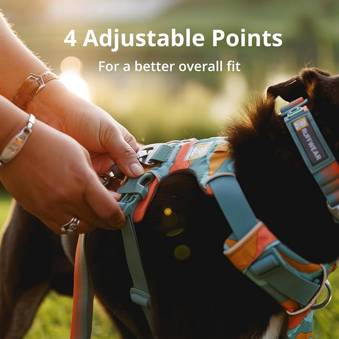 Ruffwear, Front Range Dog Harness, Reflective Soft Padded Everyday Harness with Dual Leash Clips, Adjustable and Lightweight Fit for Training or Walking for All Dogs, River Rock Green, XX-Small