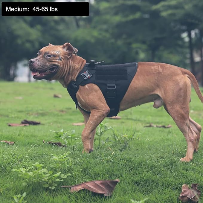ICEFANG Tactical Dog Harness for Medium Dogs,Reflective No Pull Dog Vest | with Control Handle,Adjustable,Front Hook,2 Leash Clips,Soft Padded,MOLLE Panel,Black,Medium