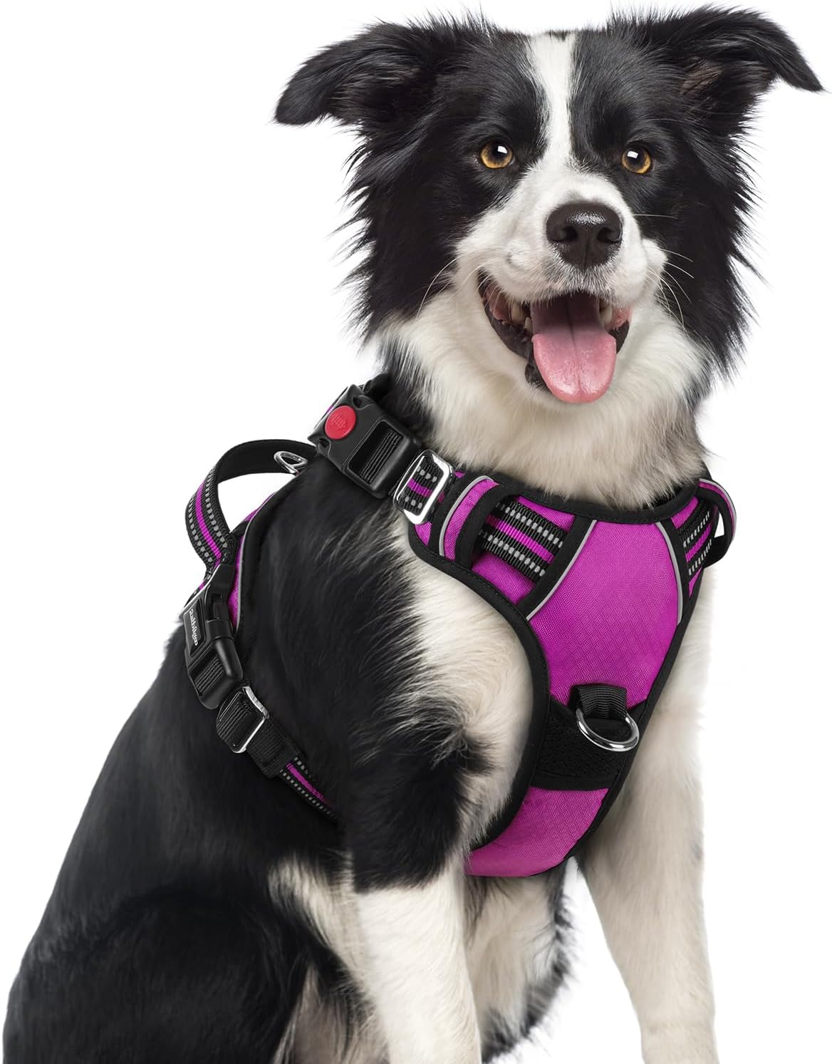 rabbitgoo Dog Harness Medium Sized, No Pull Dog Vest with 3 Buckles, Adjustable Soft Padded Pet Harness with Easy Control Handle and Reflective Strips, Purple, M