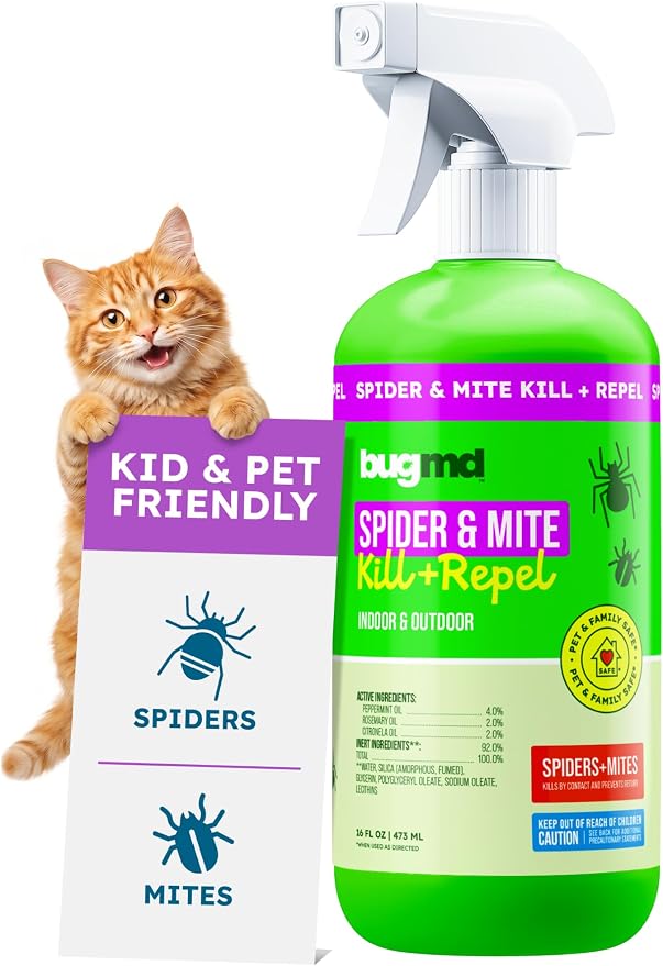 BugMD Pet Safe Spider Repellent Indoor & Outdoor Spray | Natural Spider & Mite Killer with Peppermint Oil to Create a Pest-Free Home - 16oz