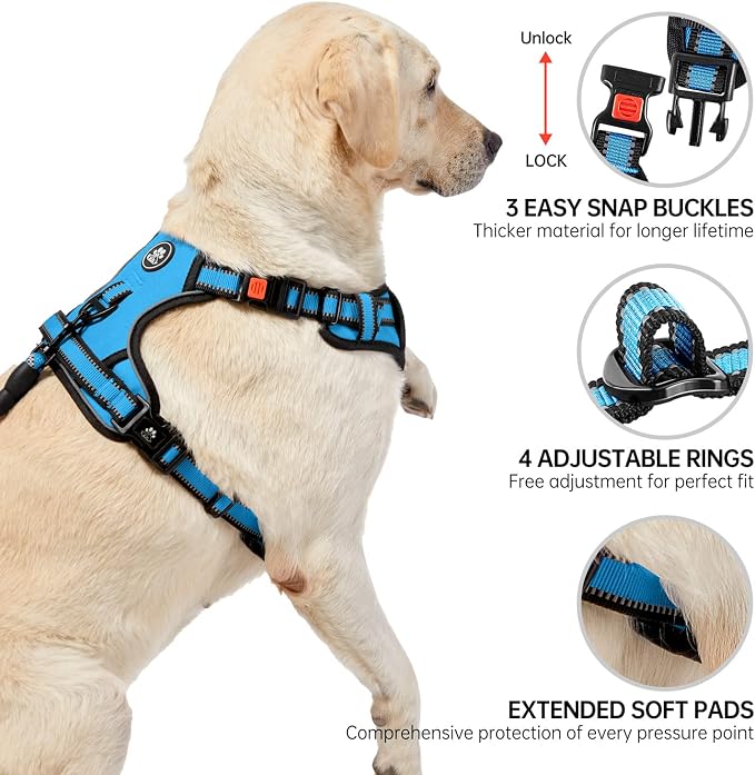 NESTROAD No Pull Dog Harness,Adjustable Oxford Dog Vest Harness with Leash,Reflective No-Choke Pet Harness with Easy Control Soft Handle for Small Dogs(X-Small,Blue)
