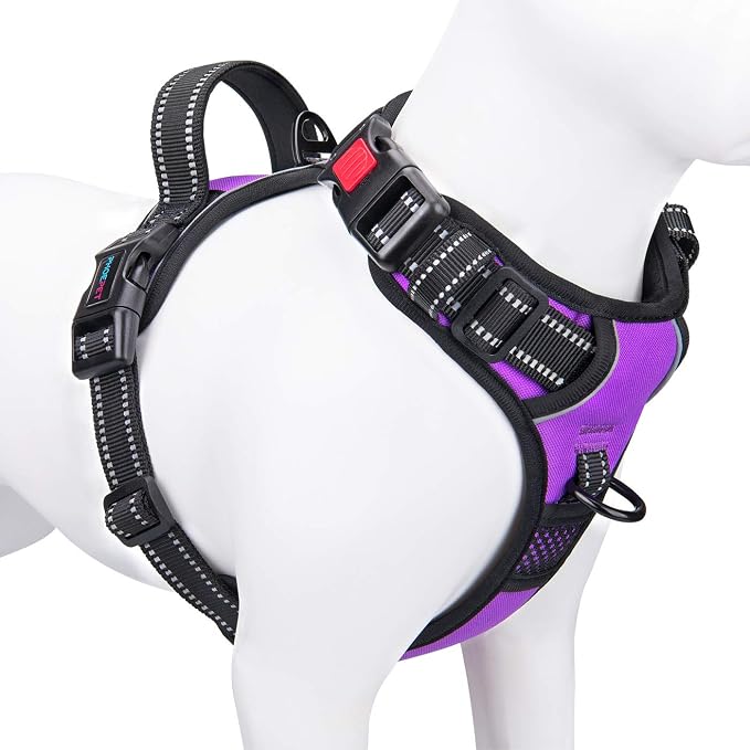 No Pull Dog Harnesses for Small Dogs Reflective Adjustable | Front Clip Vest with Handle 2 Metal Rings 3 Buckles [Easy to Put on & Take Off](XS, Purple)