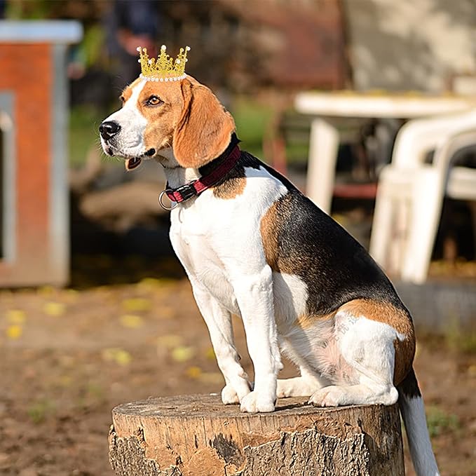 PET SHOW 2pcs Large Dog Crown Headband Sheep Big Pet Hat for Birthday Party Silver Gold Rhinestone Faux Pearl Crown for Pets Wedding Hair Accessories Photo Prop Costume