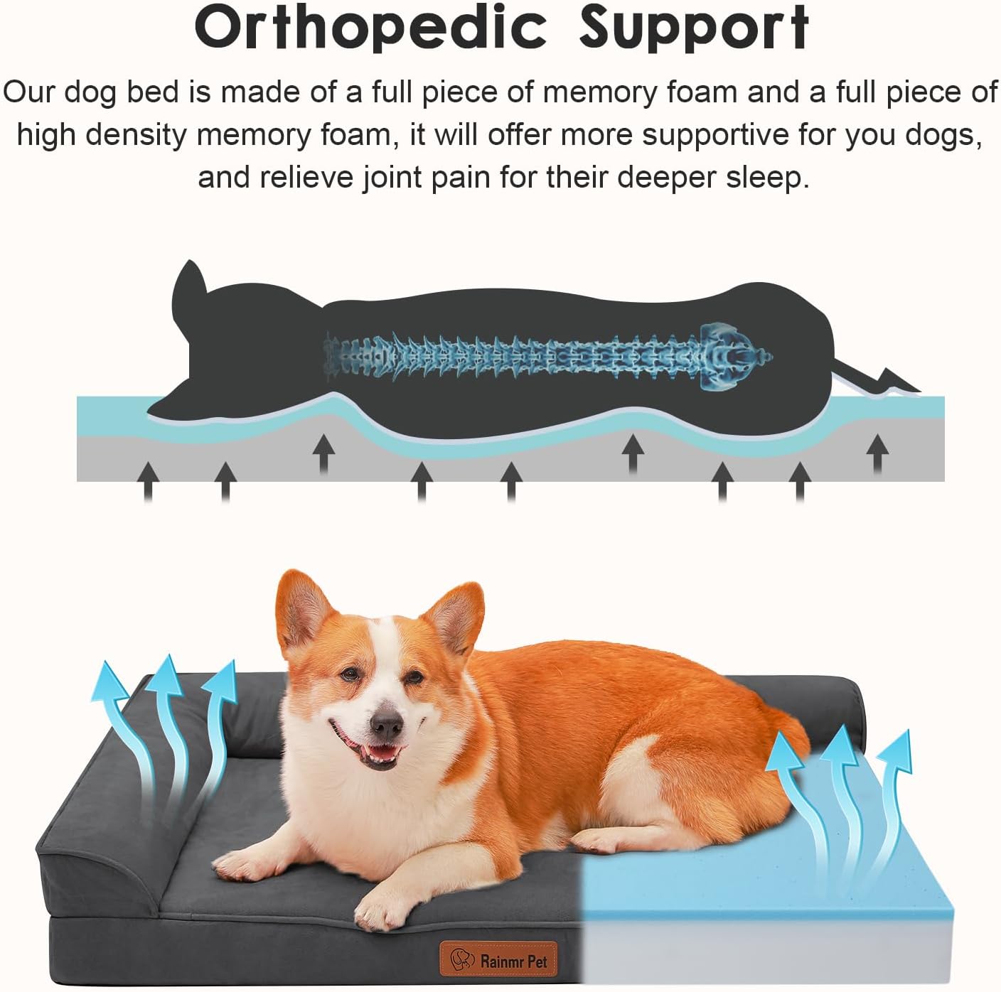 Upgraded Large Dog Bed, 3" Memory Foam with Waterproof Liner, Chew Resistant Microsuede Cover, Removable and Washable, for Indoor, Outdoor, and Car Use, Nonskid Base, 36x27 Inches L Dark Grey