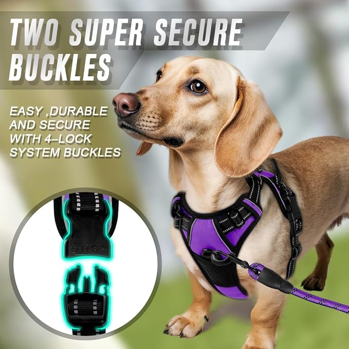 BARKBAY Dog Harness No Pull for Small Sized Dog Front Back Clips,Dog Vest | Soft Padded No Choke With Handle,Easy On&Off,Adjustable Reflective For Walking Training Running(Purple,XS)