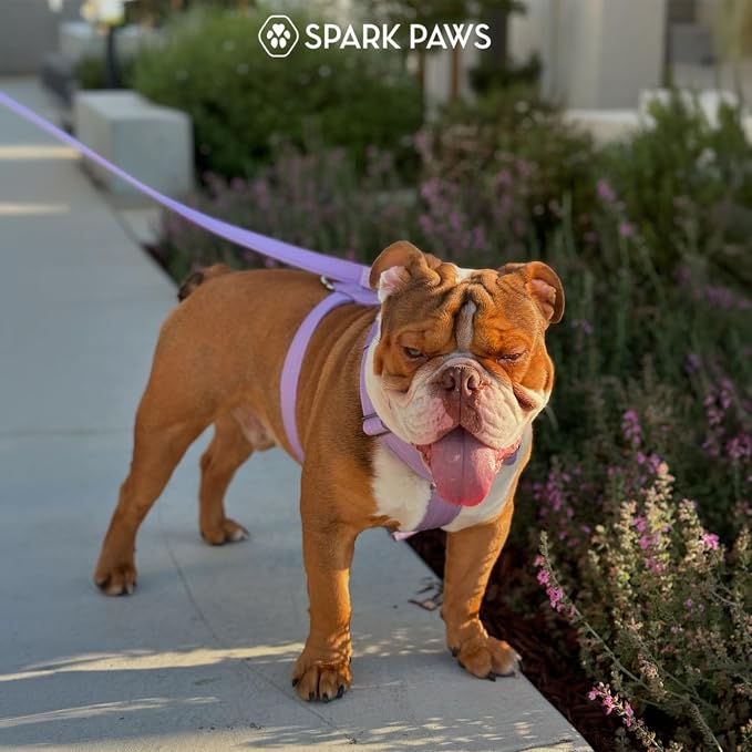Spark Paws Comfort Control No Pull Dog Harness - Heavy Duty Front Clip | Safety Tested for Strong Breeds, w/ Metal Buckle & Top Handle – Padded Y-Straps Redirect Pulling. Solo or Matching Leash Set