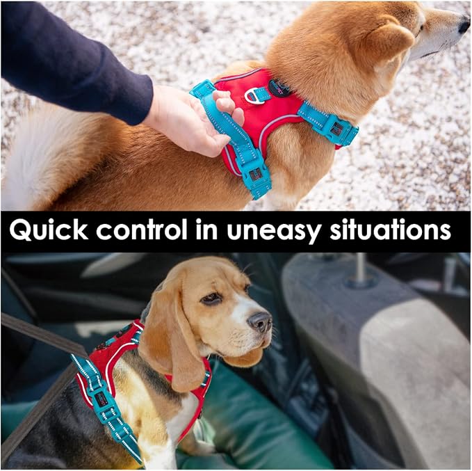No Pull Dog Harness, Unique Colors Reflective Adjustable Dog Vest, with Soft Training Handle Metal Clips for Small Medium Large Dogs (Red Base & Teal Straps,XS)