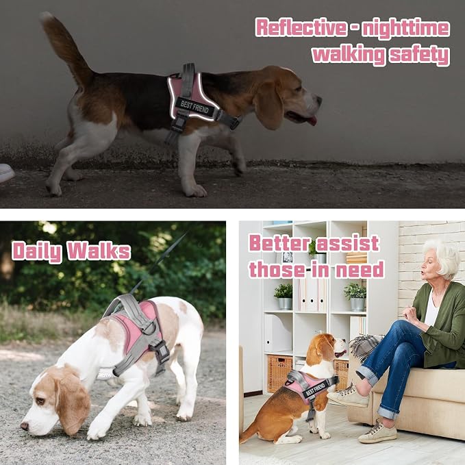 AUROTH Dog Harness and Leash Set for Large Sized Dog, No Pull Dog Vest | with Leash Clips, LED light clip, Soft Padded No Choke, Escape Proof, Easy Walking and Training, Pink, XL