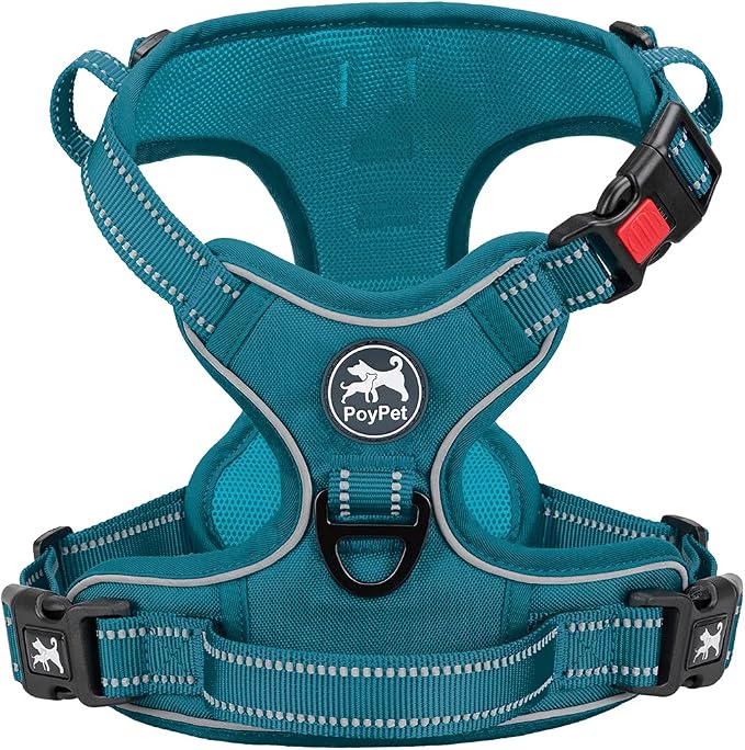 PoyPet No Pull Dog Harness, Reflective Vest with 2 Leash Clips & Handle | Lockable Neck Release Buckle, No Choke, Adjustable, Soft Padded, for Walking Training, Tumalo Teal, X-Small