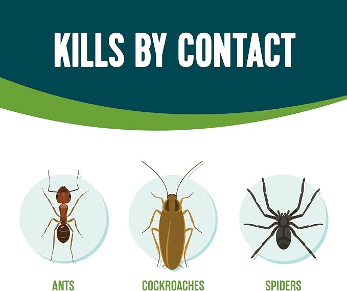 Ecologic Ant & Roach Killer, 14 Ounces, Aerosol Formula Made With Cornmint Cinnamon And Clove Oil Kills Ants, Cockroaches, Crickets And Spiders By Contact For Indoor And Outdoor Defense