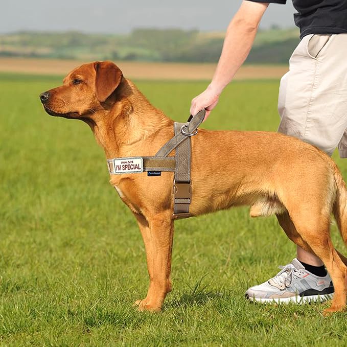 Annchwool No Pull Dog Harness with Soft Padded Handle-Reflective Strip Escape Proof and Quick Fit to Adjust Dog Harness-Easy for Training Walking for Small & Medium and Large Dogs(Brown,S)