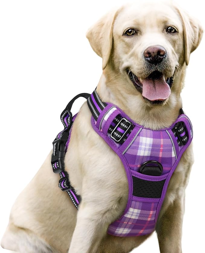 rabbitgoo Dog Harness, No Pull for Large Dogs with 2 Leash Clips, Pet Vest | No Choke with Handle, Adjustable Soft Padded, Reflective, Easy Control for Walking, Purple Plaid, Large