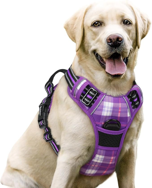 rabbitgoo Dog Harness, No Pull for Large Dogs with 2 Leash Clips, Pet Vest | No Choke with Handle, Adjustable Soft Padded, Reflective, Easy Control for Walking, Purple Plaid, Large