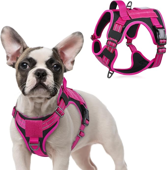 rabbitgoo Tactical Dog Harness for Small, No Pull Military Service Vest | Molle & Handle, Heavy Duty, Adjustable, Reflective Straps, Easy Control for Training Walking, Black & Rose Red, Small