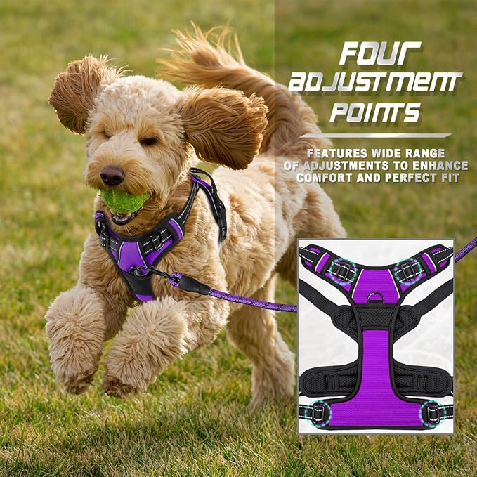 BARKBAY Dog Harness No Pull for Small Sized Dog Front Back Clips,Dog Vest | Soft Padded No Choke With Handle,Easy On&Off,Adjustable Reflective For Walking Training Running(Purple,XS)