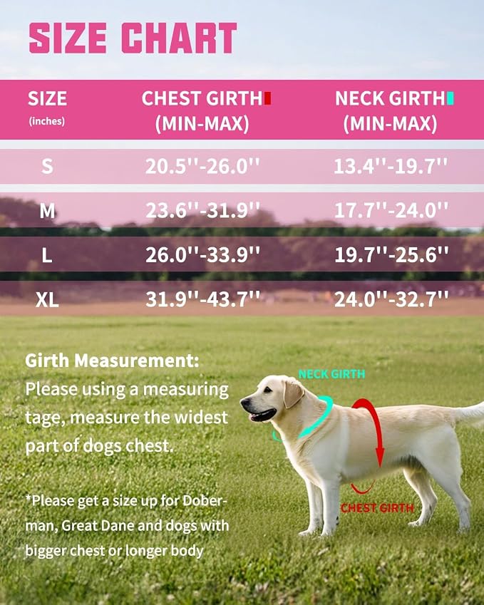 AUROTH Dog Harness and Leash Set Small Sized Dog, No Pull Escape Proof Vest | with Leash Clips, LED light clip, Breathable Mesh Padded No Choke, Easy Walking and Training, Pink Camo, Small