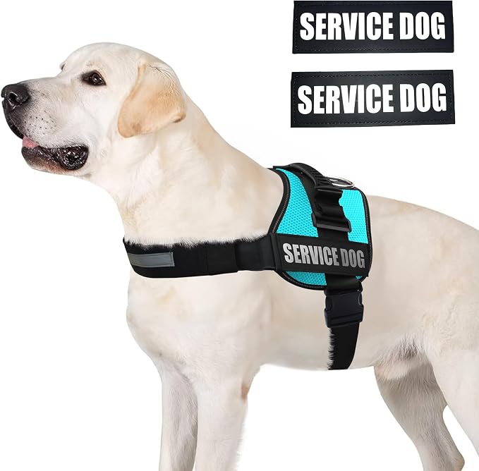 Service Dog Vest Harness – Reflective Service Animal Vest, No-Pull Harness with Handle & Mesh Padding – Sizes XXS-XL for Puppies – 2 Removable Service Patches Included (Large, Blue)