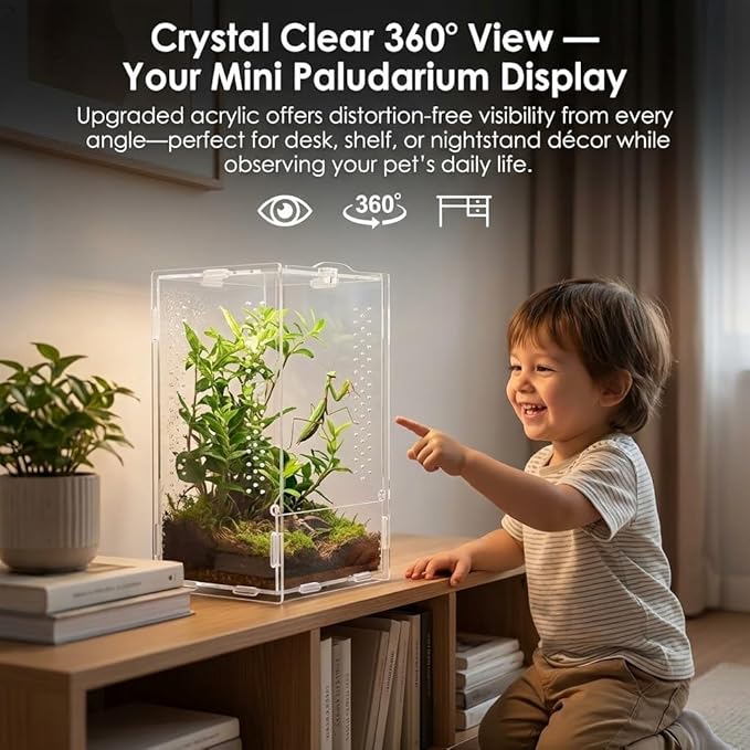 Acrylic Jumping Spider Enclosure: Arboreal Tarantula Enclosure | Front Opening Reptile Terrarium for Gecko Praying Mantis Snail - Lockable Dual-Side Ventilation Bug Habitat for Desk Decor