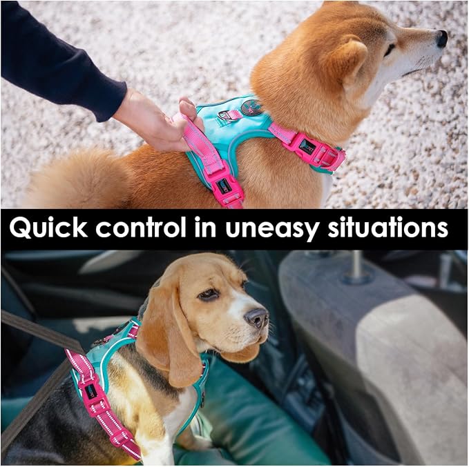 No Pull Dog Harness, Unique Colors Reflective Adjustable Dog Vest | with Soft Training Handle Metal Clips for Small Medium Large Dogs (Mint Green Base & Pink Straps,L)
