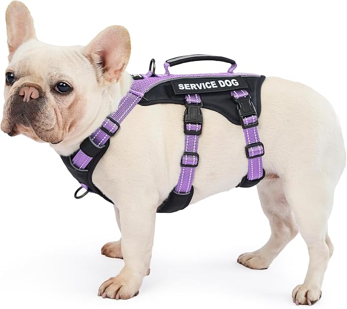 Service Dog Vest Harness, Escape Proof Harness with 6 Patches, No-Pull, Reflective Harness with Handle, Adjustable for Small to Large Dogs, for Training and Hiking (Lavender Purple, M)