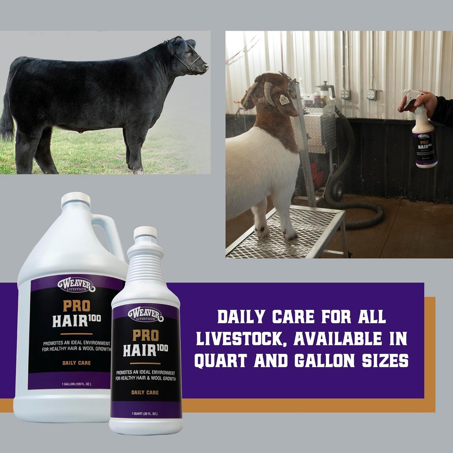 Weaver Leather Livestock Winner's Brand Pro Hair100 Shampoo, 1 Gallon