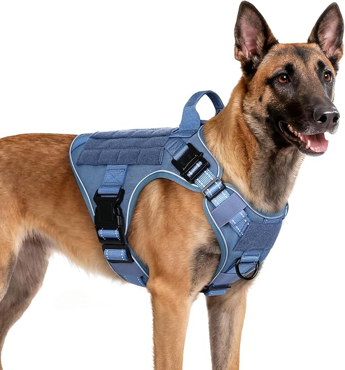 rabbitgoo Tactical Dog Harness for Medium, Heavy Duty Military No Pull Vest | Sturdy Metal Buckles, 5 Adjustments, Molle System, Powerful Pullers for Training, Hunting, Outdoor, Blue Reflex, Medium