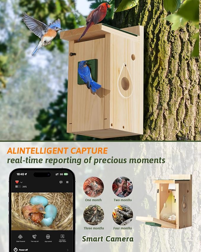CEDAR ALPHA Bluebird Bird House with Camera,Metal Roof,1080P Birdhouse for Outside with Night Vision, Birdhouse with Camera APP Control, 2.4G WiFi App to Observe Bird Activities