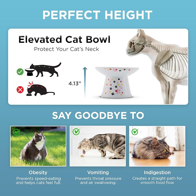 Necoichi Elevated Cat Food Bowl, Ceramic (Porcelain), Whisker-Friendly, Dishwasher & Microwave Safe, Non-Slip Silicone Base, Anti-Vomiting & Neck Fatigue (Sakura Floral, Extra Wide)