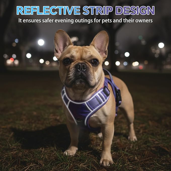 Heavy Duty Tactical Dog Harness for Small Dogs, No Pull Dog Harness with Handle & Front Clip, Reflective Soft Padded, Hook and Loop Panel, Dog Vest for Walking, Service Training, Purple