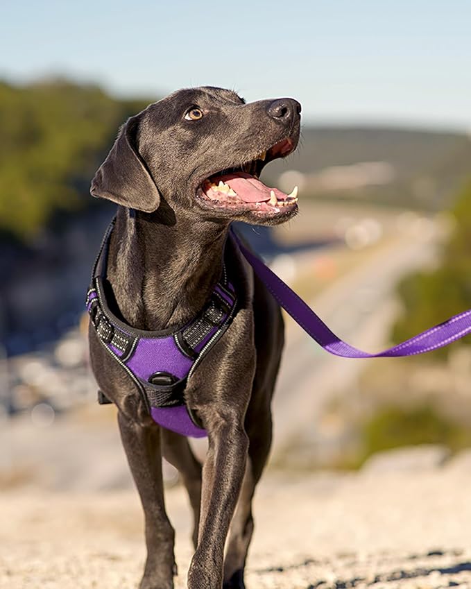 Joytale No Pull Dog Harness for Large Dogs, Front Clip, Purple | Grab Handle for Instant Control, Padded & Adjustable Vest, Sturdy Metal D-Rings, for Safe Training & Daily Walking