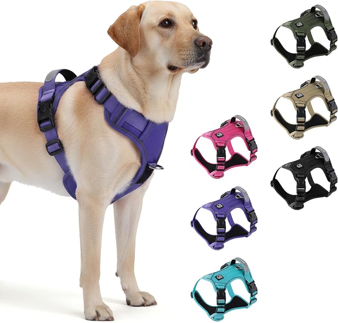 Heavy Duty Tactical Dog Harness for Medium Dogs, No Pull Dog Harness with Handle & Front Clip, Reflective Soft Padded, Hook and Loop Panel, Dog Vest for Walking, Service Training, Purple