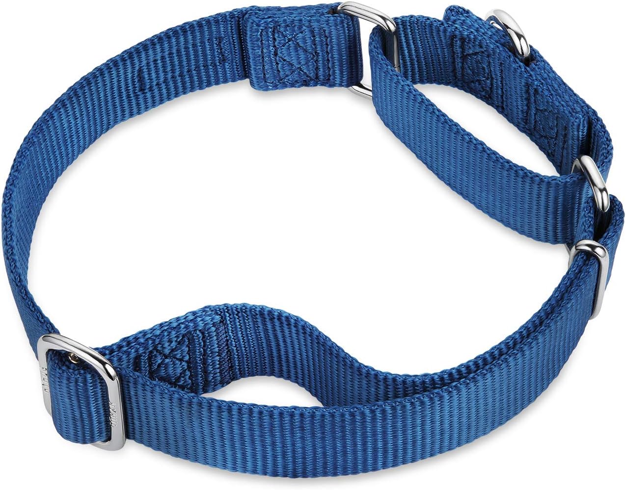Hyhug Pets Premium Upgraded Heavy Duty Nylon Anti-Escape Martingale Collar for Boy and Girl Dogs Comfy and Safe - Professional Training, Daily Use Walking. (Large, Classic Blue)