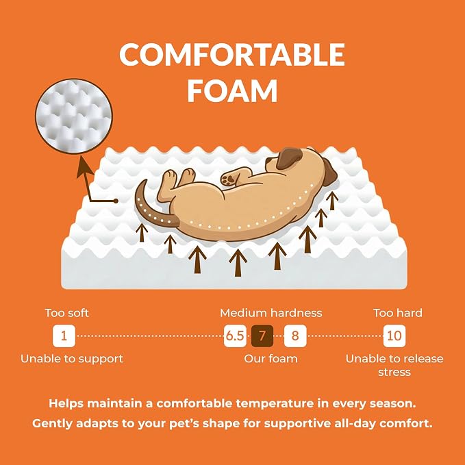 Elevated Wood Dog Bed Frame Mat Set, Whitecolor, Large | Raised Sturdy Attractive Dog Sofa Couch Furniture,80 lb