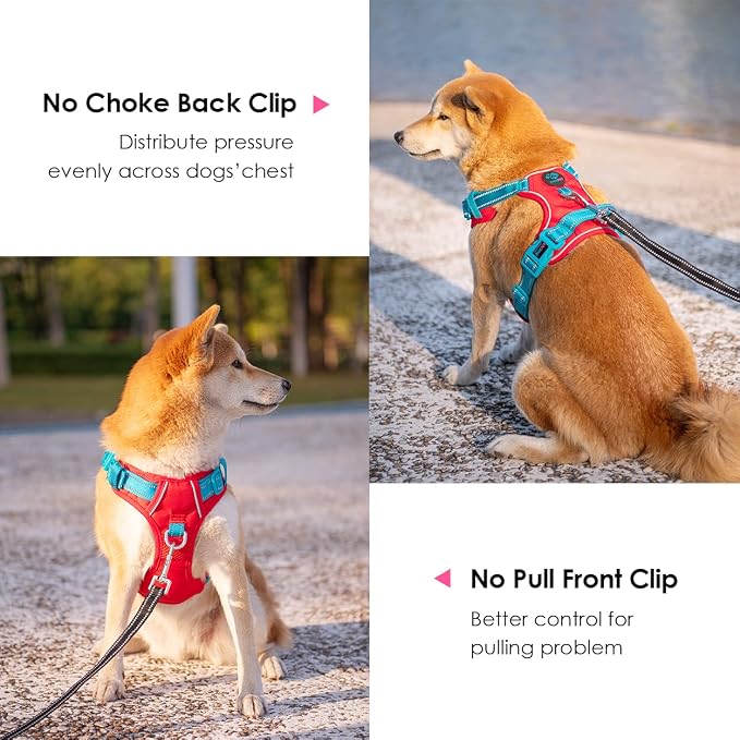 No Pull Dog Harness, Unique Colors Reflective Adjustable Dog Vest | with Soft Training Handle Metal Clips for Small Medium Large Dogs (Red Base & Teal Straps,XL)