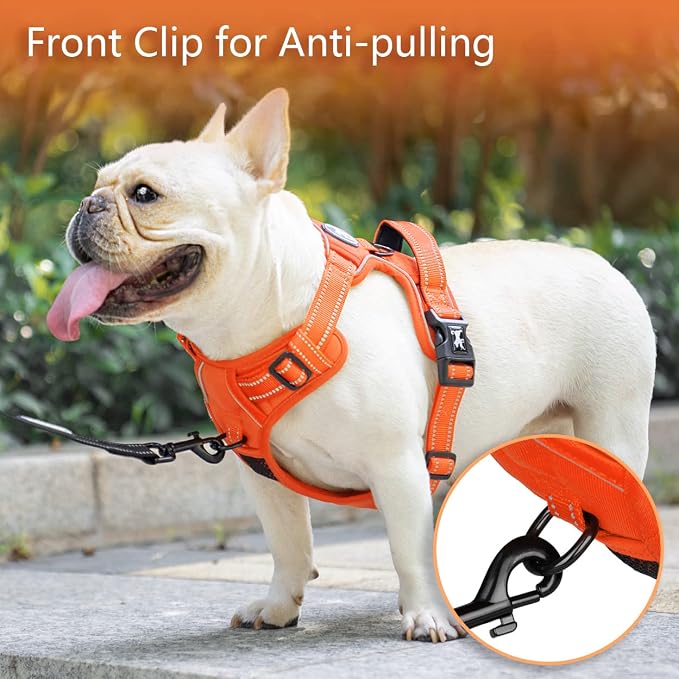 PoyPet No Pull Dog Harness, Reflective Vest with 2 Leash Clips & Handle | Lockable Neck Release Buckle, No Choke, Adjustable, Soft Padded, for Walking Training, Orange Matching Trim, X-Small