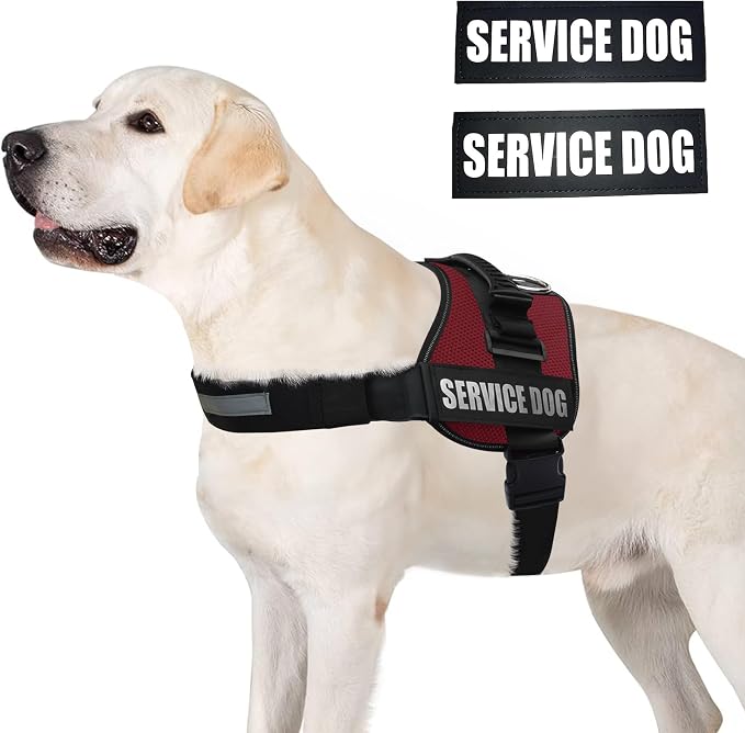 Service Dog Vest Harness – Reflective Service Animal Vest, No-Pull Harness with Handle & Mesh Padding – Sizes XXS-XL for Puppies – 2 Removable Service Patches Included (Large, Maroon)