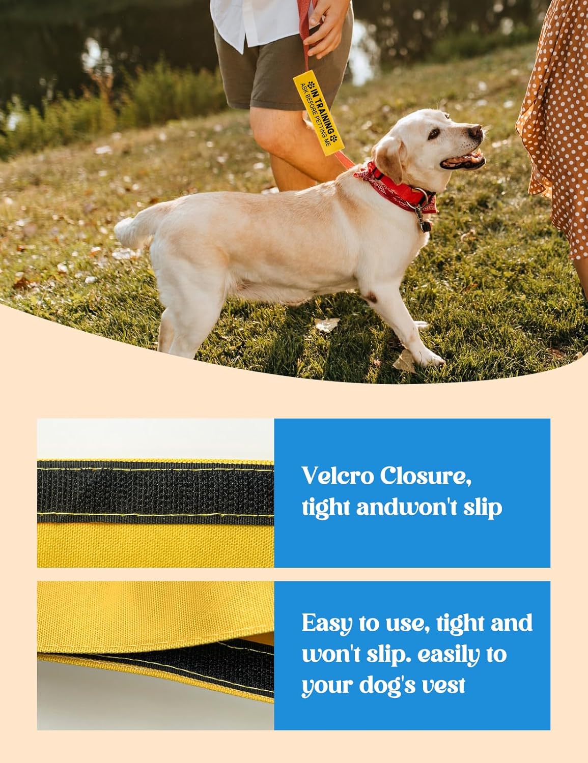 in Training Ask Before Petting Dog Leash Sleeve, Funny Yellow Dog Leash Wrap Alert Hanging ID Patch Tag, in Training Leash Wrap Service Dog Leash Wrap Pet Birthday Gifts for Dog Owners